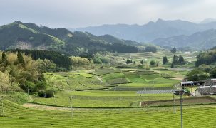 価格改定のお願い
